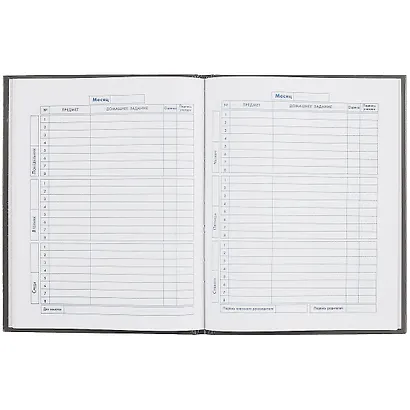 Дневник для средних и старших классов Феникс+, "Скейт в руке" - фото 2