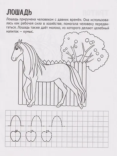 Готовим руку к письму. Раскраска с прописями. Домашние питомцы. Для детей 5-7 лет - фото 7