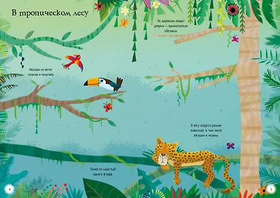 Животные - фото 8