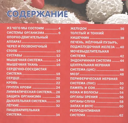 Как устроен организм человека.Детская энциклопедия - фото 2