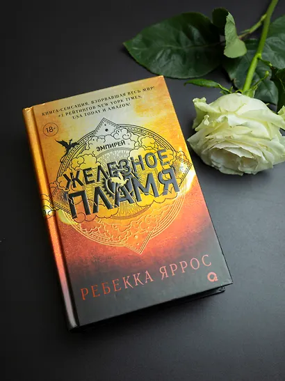 Железное пламя - фото 6