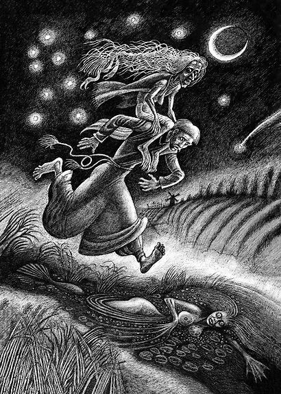 Вий и другие повести из цикла "Миргород" - фото 5