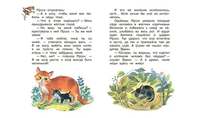 Пусси-кошка кондитера - фото 4
