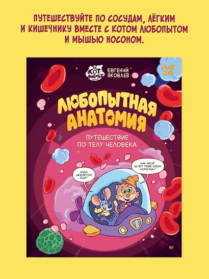 Любопытная анатомия. Путешествие по телу человека - фото 4