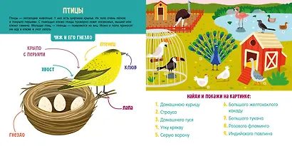 Первые слова малыша. Визуальные словари. Животные. Визуальный словарь - фото 4