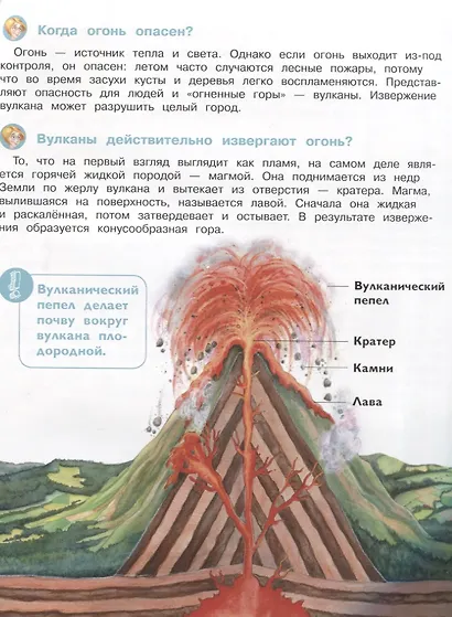 Планета Земля. Энциклопедия для дошкольников с веселым енотом - фото 4