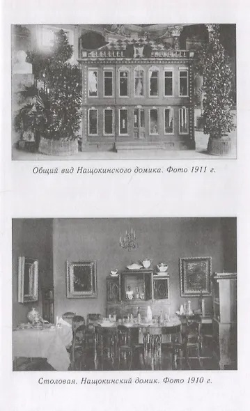 Друг Пушкина Павел Воинович Нащокин (ПушБибл) Раевский - фото 7
