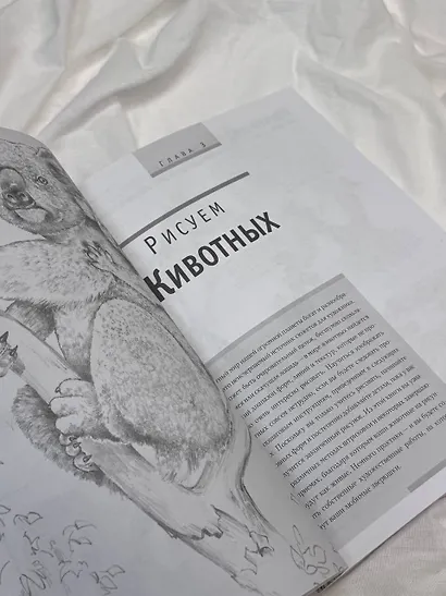 Основы рисования - фото 8