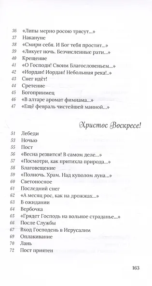 Светозарное - фото 4