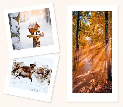 Философия загородной жизни - фото 11