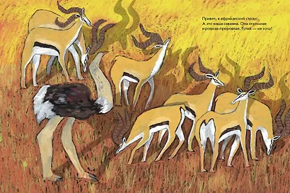 Страус, без паники! - фото 3