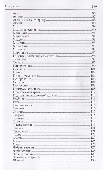 Декоративные растения открытого грунта - фото 4