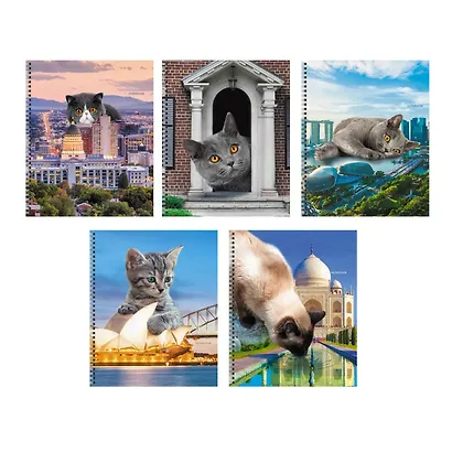 Тетрадь в линейку Listoff, "Коты в городе!", 60 листов, в ассортименте - фото 1