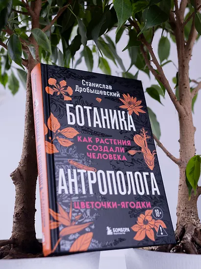 Ботаника антрополога. Как растения создали человека. Цветочки-ягодки - фото 10