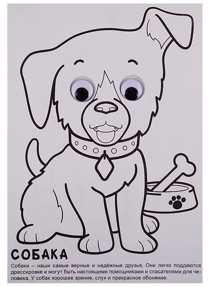 РАСКРАСКА А4 с глазками 22мм. ДОМАШНИЕ ЛЮБИМЦЫ - фото 2