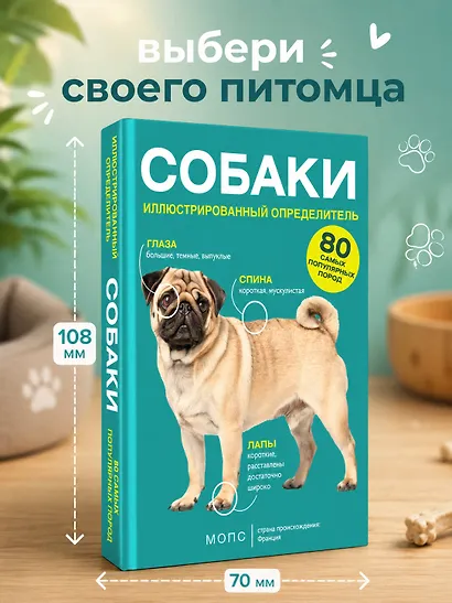 Собаки. 80 самых популярных пород. Иллюстрированный определитель - фото 4
