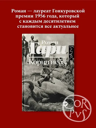 Корни неба - фото 3