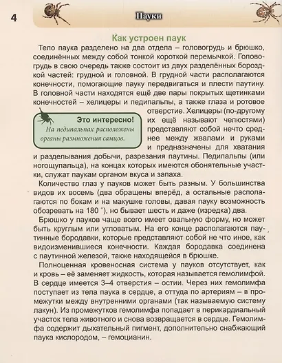 Пауки: энциклопедия - фото 7