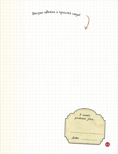 Мой первый гербарий - фото 5