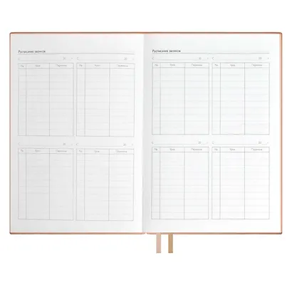 Ежедневник учителя А5 160л "ШЕВРЕТ РОЗОВЫЙ" кожзам, блинт.тисн., цветн.срез, два ляссе, закладка из иск.кожи - фото 7