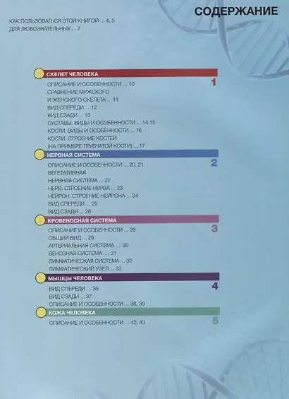 Энциклопедия в дополненной реальности. Анатомия: Тело человека - фото 2