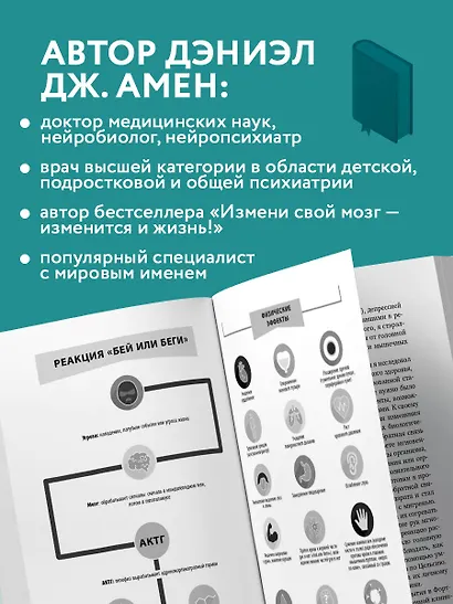 Полюби свой мозг. Как превратить свои извилины из наезженной колеи в магистрали успеха - фото 7