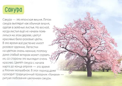 Обучающая книга «Деревья» - фото 4