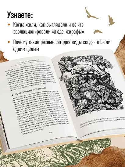 Почему жирафы не стали людьми и другие вопросы эволюции - фото 6