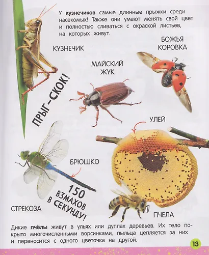 Моя большая книга о животных - фото 5