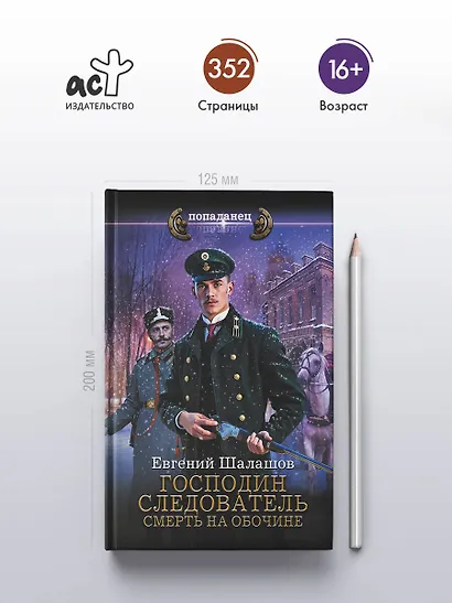 Господин следователь. Смерть на обочине - фото 4