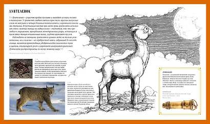 Фантастические твари. Природа чудес волшебного мира - фото 4