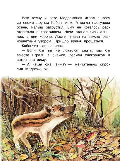 Сказки снежного леса - фото 10