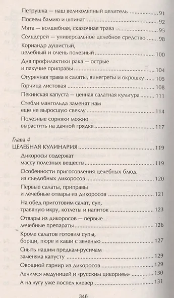 Наши дачные лекари - живые витамины. Овощные и дикорастущие растения - фото 4