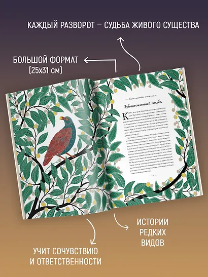 Книга исчезающих животных для неравнодушных сердец - фото 4