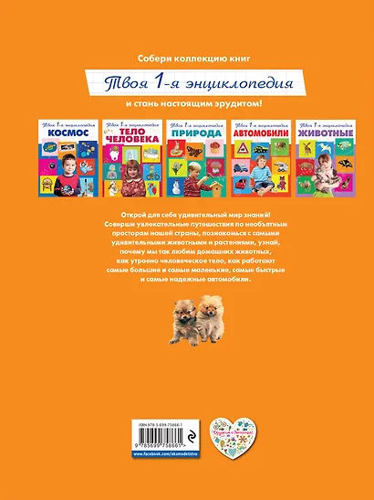 Домашние животные - фото 2