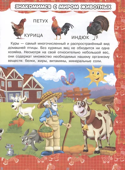 Животные - фото 4