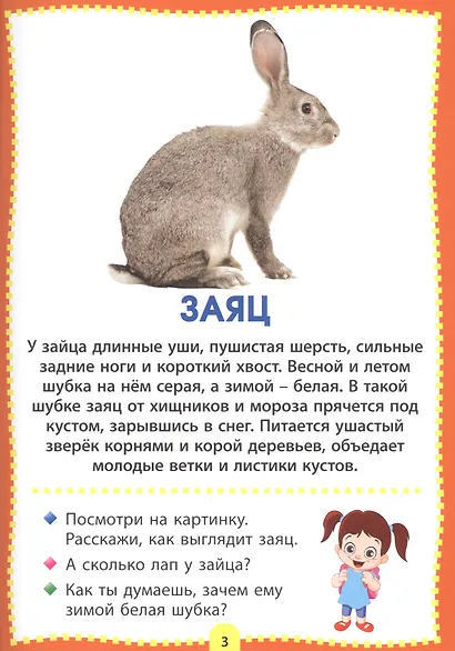 Лесные животные. Фотокнига для самых маленьких - фото 3