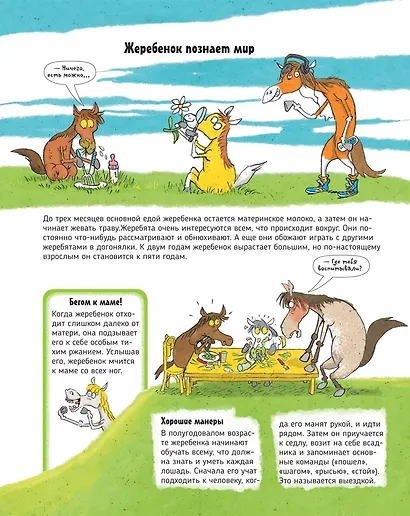 Лошади. О чем говорят животные. Секретная энциклопедия - фото 5