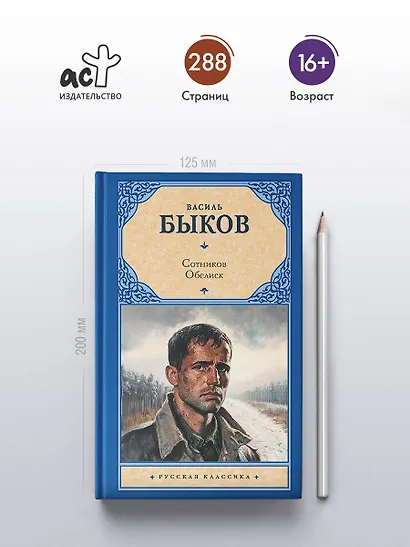 Сотников. Обелиск - фото 4