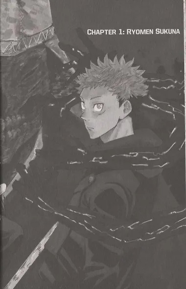 Jujutsu Kaisen, Volume 1 - фото 4