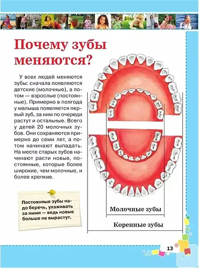 Первая энциклопедия для девочек - фото 7