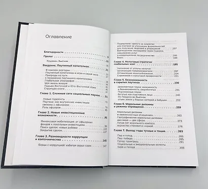 Паутинный капитализм. Как глобальные элиты эксплуатируют пограничные рынки - фото 2