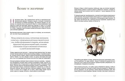 За руку с лесом. Жизнь в ритме природы, янтарный мёд и деревенское крыльцо - фото 10