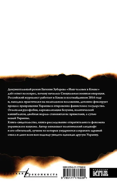 Наш человек в Киеве - фото 2