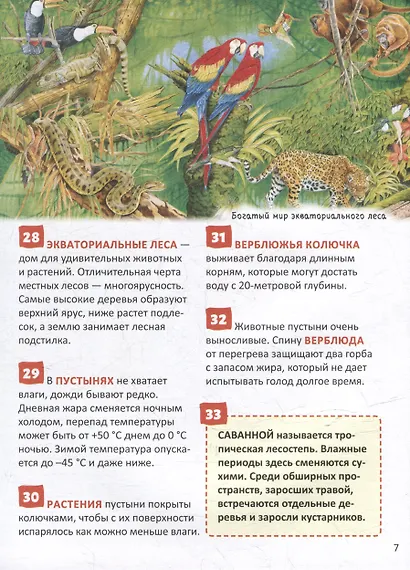 Атлас мира. Энциклопедия российского школьника. 250 фактов - фото 4