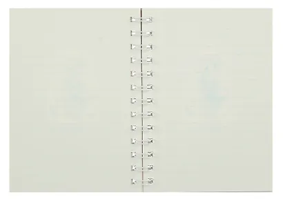 Записная книжка «Фея» А6, 80 листов в линейку, спираль, в ассортименте - фото 11