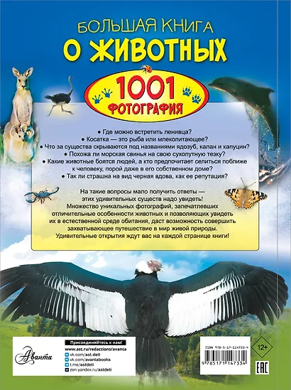 Большая книга о животных. 1001 фотография - фото 2