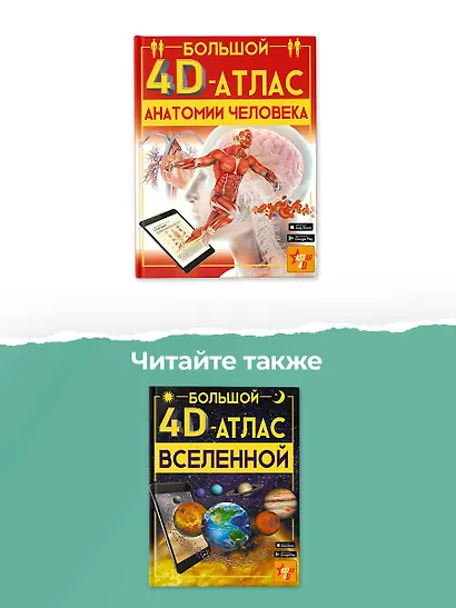 Большой 4D-атлас анатомии человека - фото 11