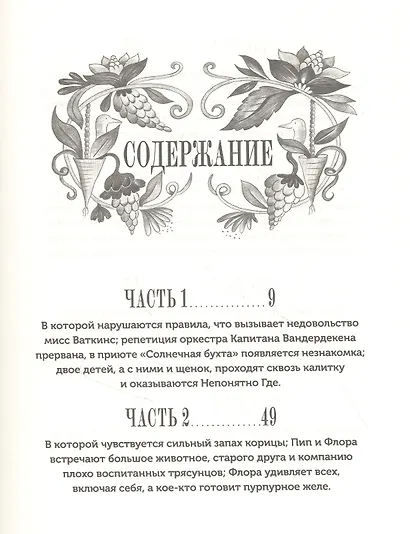 Изумительная Страна Снергов - фото 2