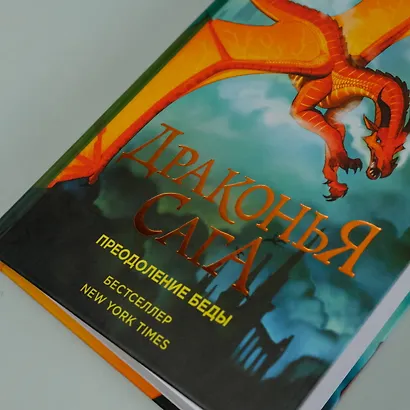 Драконья сага. Преодоление Беды - фото 7